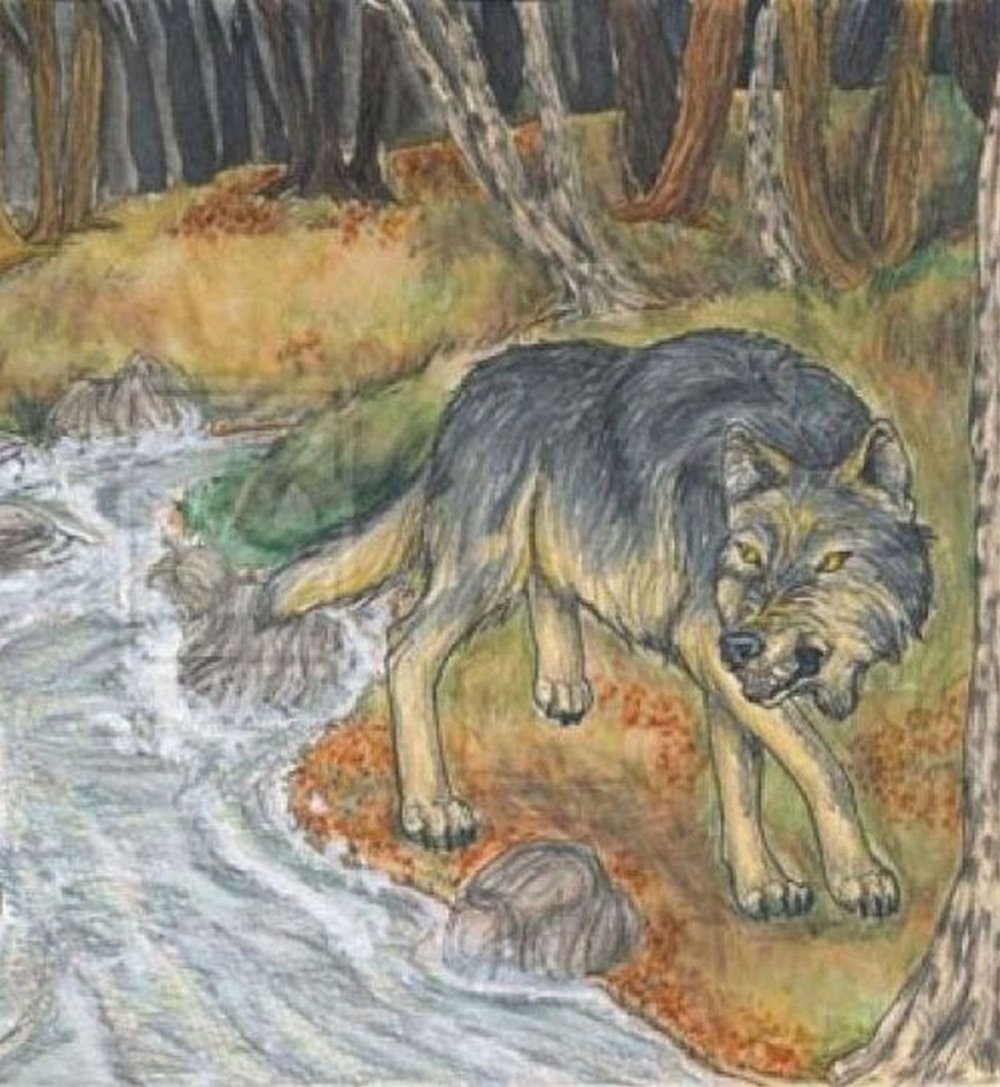 Иллюстрация к басне Крылова волк и ягненок