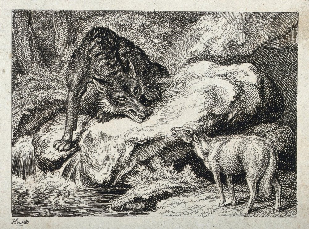 Волк и ягненок рисунок