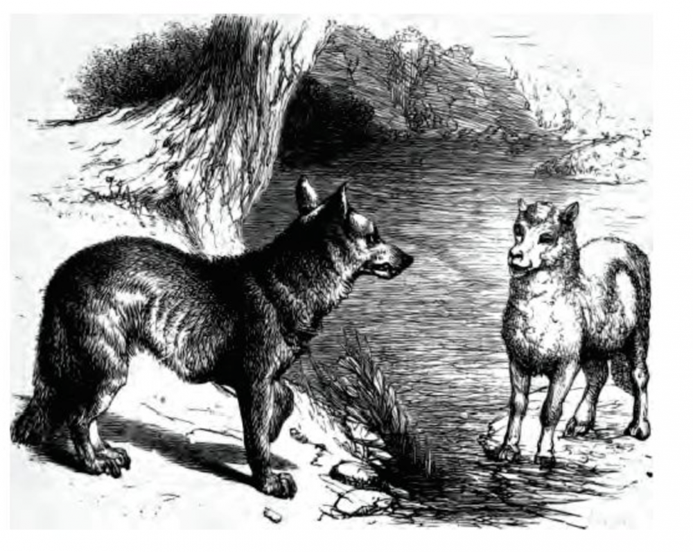 Иллюстрация к басне волк и ягненок