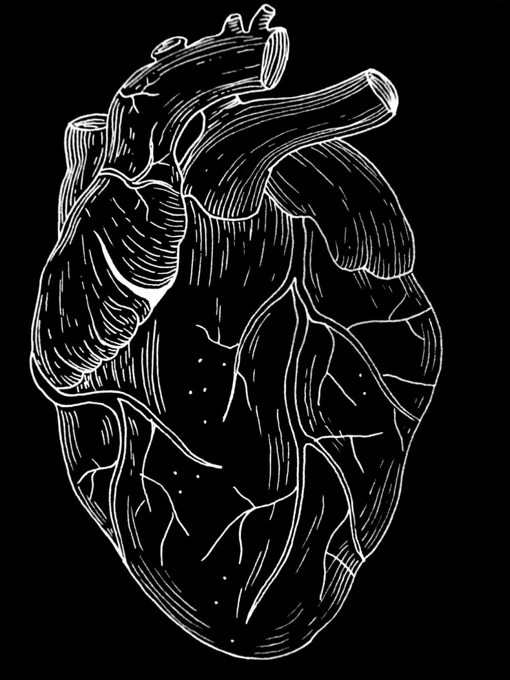 Анатомическое сердце Эстетика
