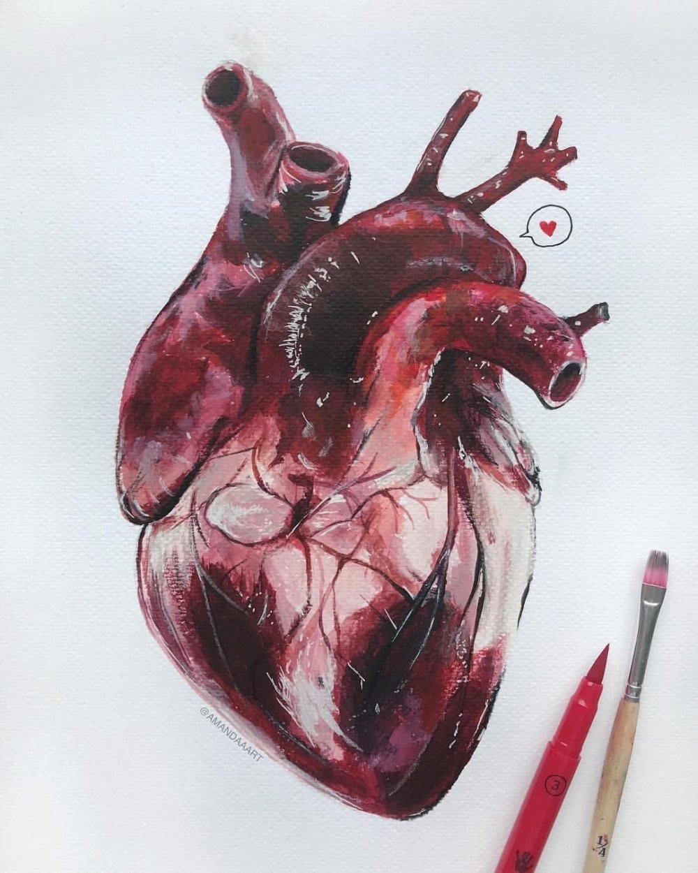 Человеческое сердце референс