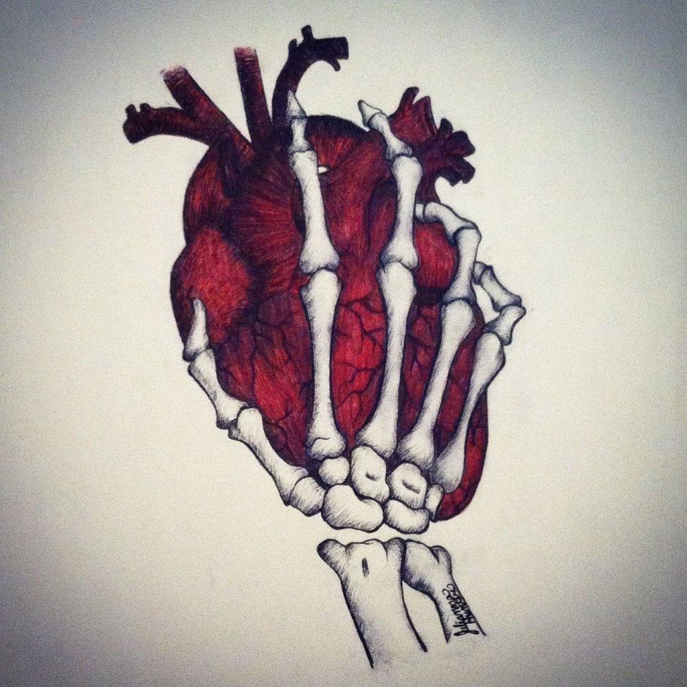 Анатомическое сердце в руке