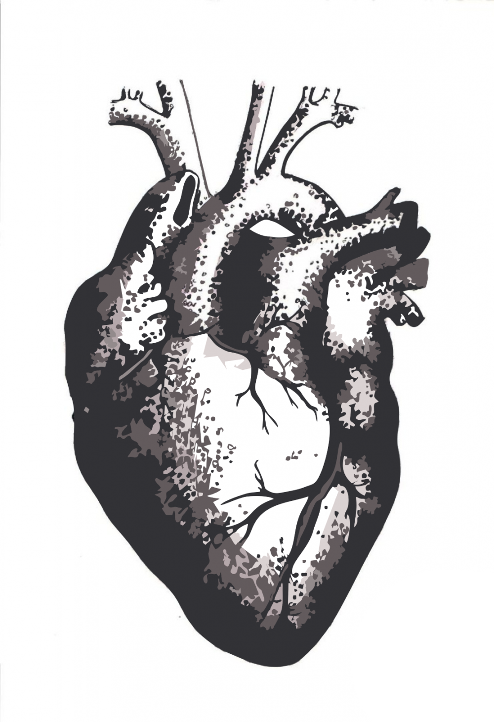 Сердце человека начтоящие
