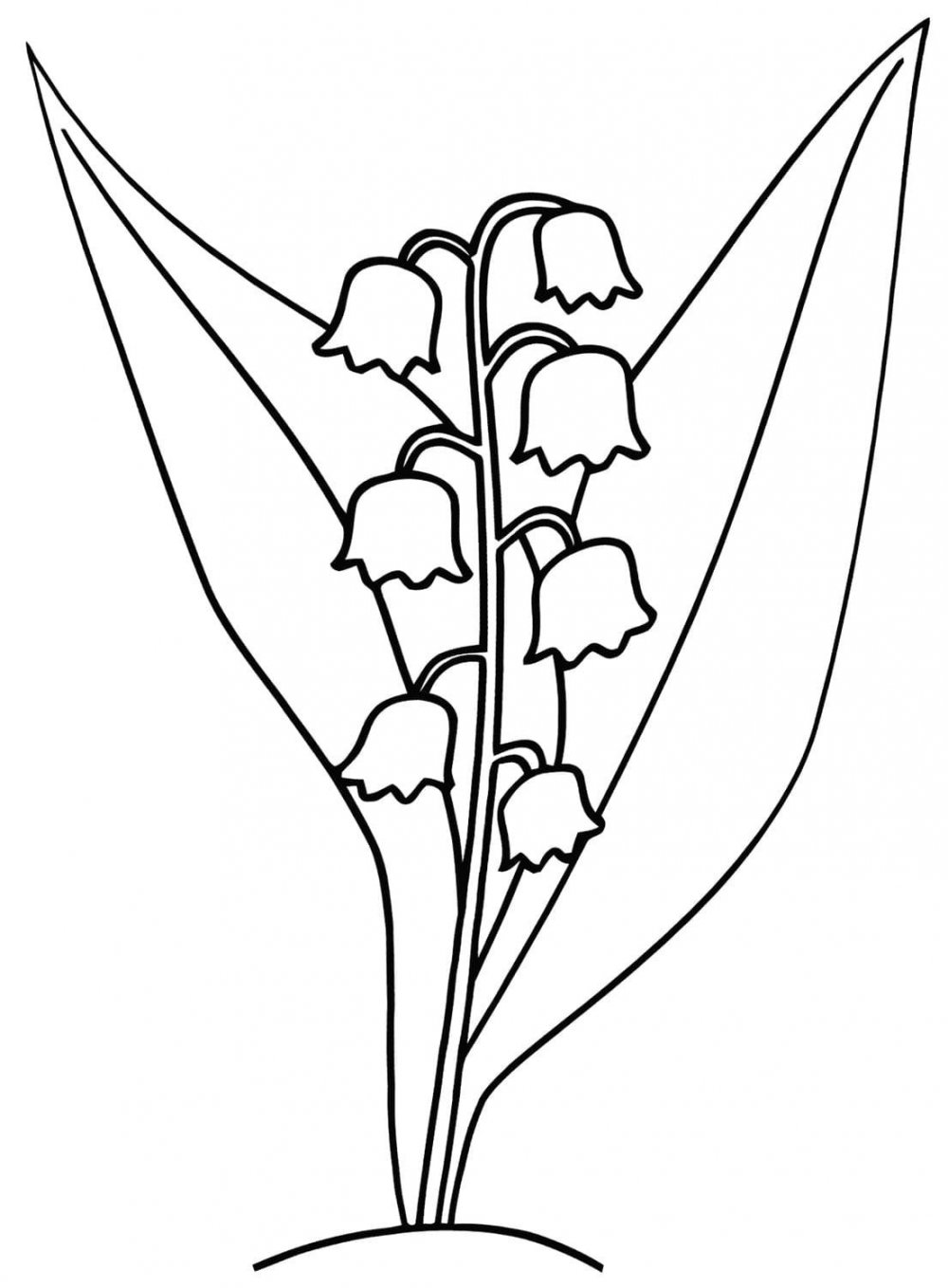 Ландыш раскраска для детей