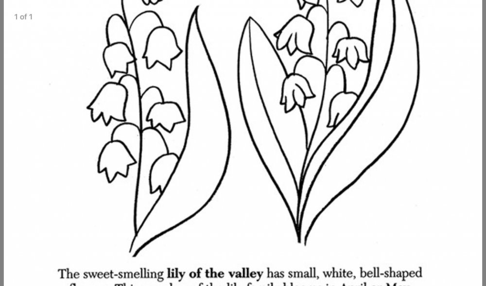 Ландыш раскраска для детей