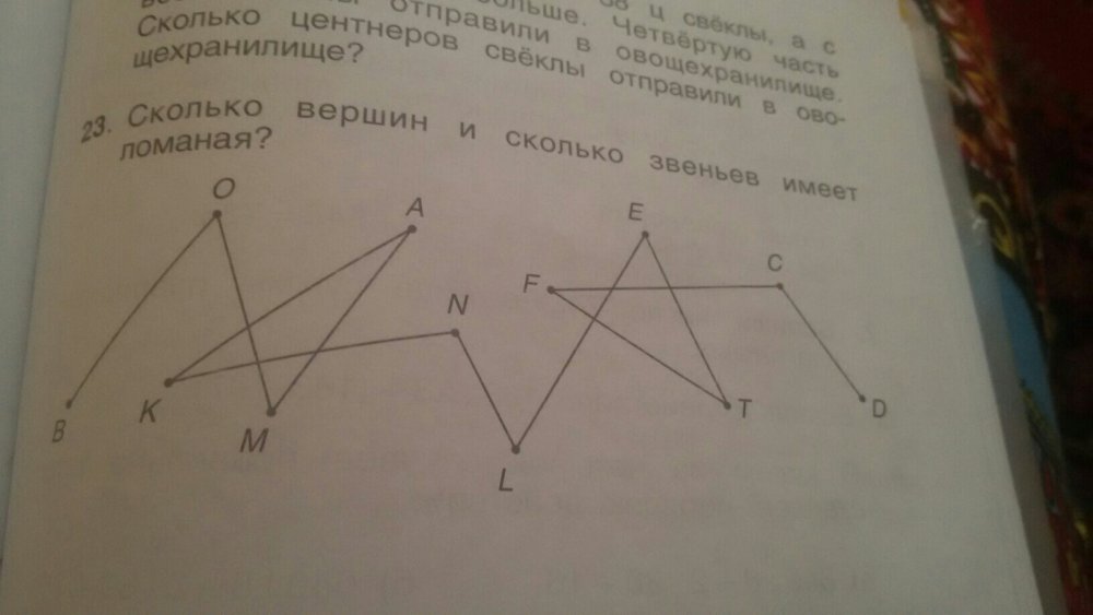 Звенья и вершины ломаной