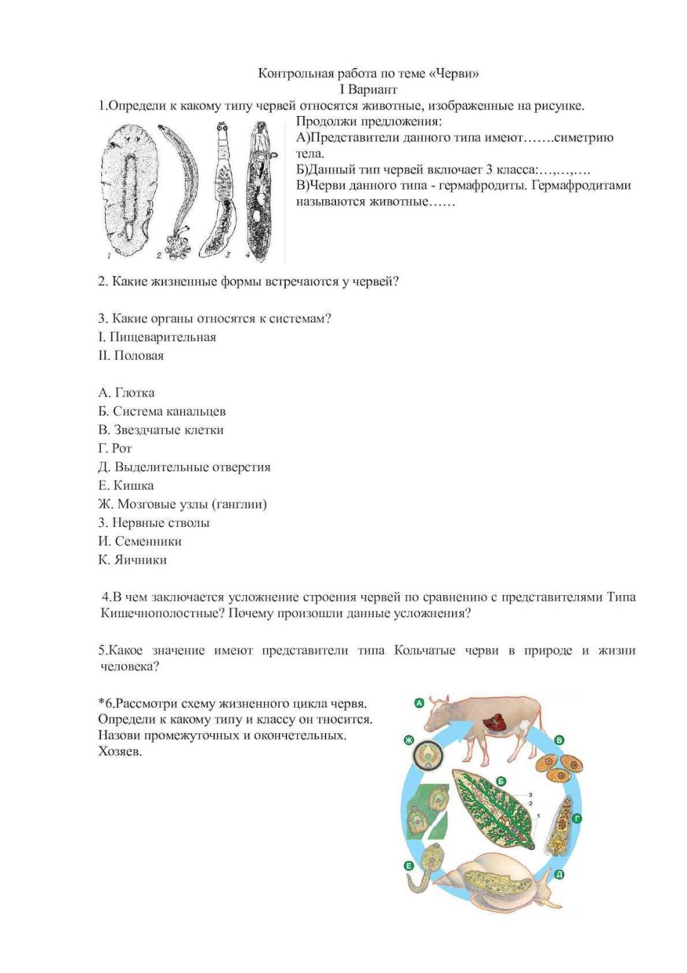 Тест по биологии 7 класс кольчатые черви